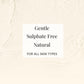 Luxe Body Essentials in Vanilla & Argan | Paytm