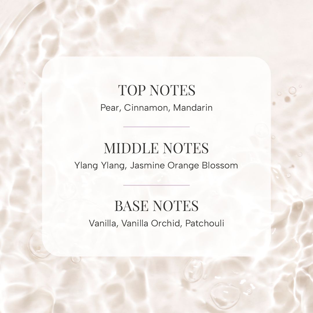 Luxe Body Essentials in Vanilla & Argan | Paytm